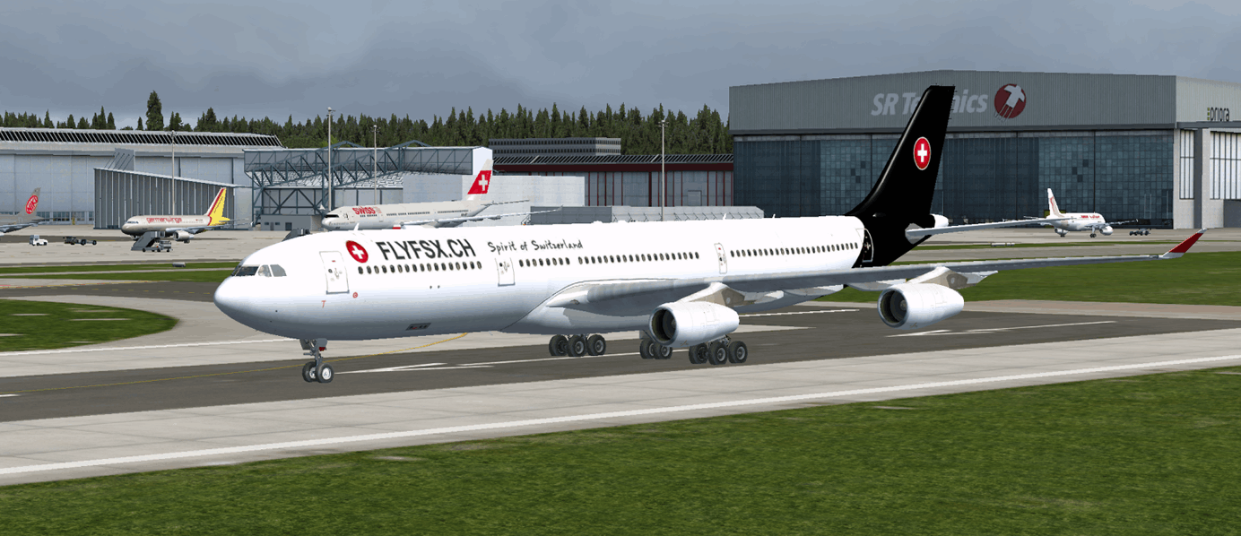 FLYFSX - Flugsimulator - Flight Simulator -  Rüchligweg 55 - 4125 Riehen - Basel - Baden - Aarau - Zürich - Schweiz - Lörrach - Freiburg - Deutschland. 