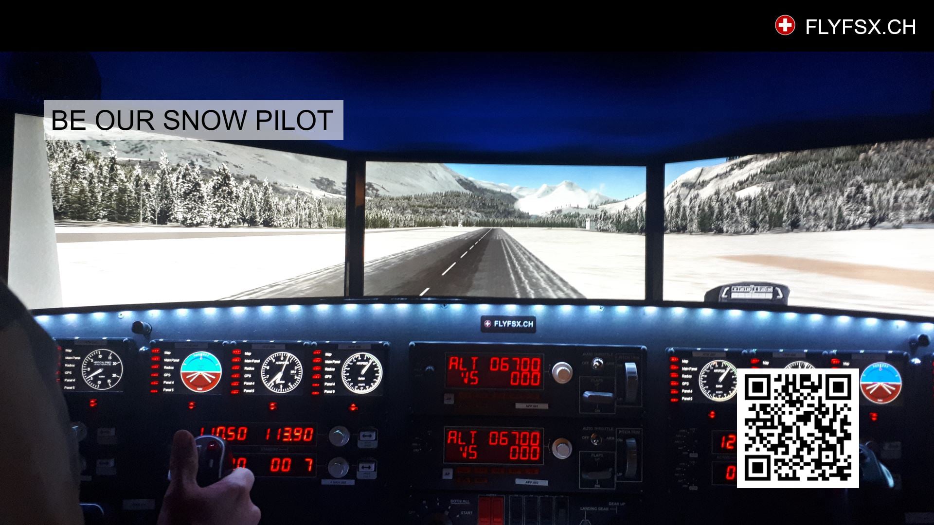 FLYFSX - Flugsimulator - Flight Simulator -  Rüchligweg 55 - 4125 Riehen - Basel - Baden - Aarau - Zürich - Schweiz - Lörrach - Freiburg - Deutschland. 