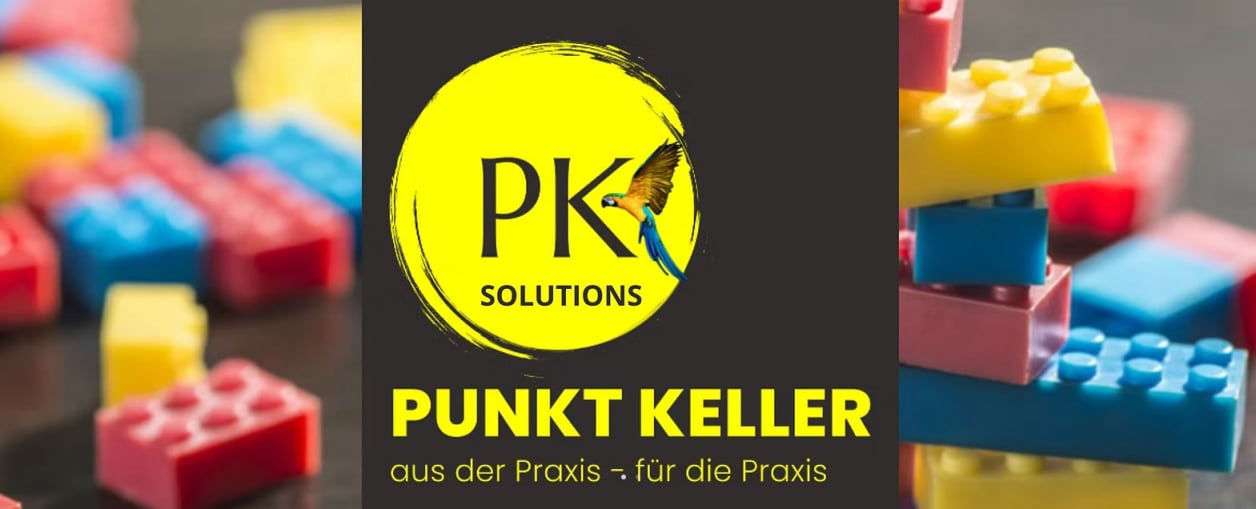 FLYFSX - Flugsimulator - Flight Simulator -  Rüchligweg 55 - 4125 Riehen - Basel - Baden - Aarau - Zürich - Schweiz - Lörrach - Freiburg - Deutschland. 